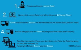 Infografik: So funktioniert ein Torrent.