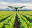 Precision Farming: Landwirtschaft der Zukunft mit moderner Technologie (Foto: AdobeStock - 913576282 Pachara)